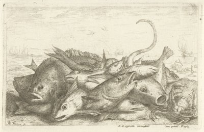 صيد السلطعون أنواع الأسماك المختلفة (عنوان السلسلة) Diverses Especes De Poissons tant de Mer، que d