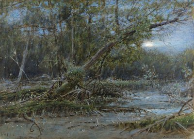 Fireflies، Demerera، c.1902 (w - c ولون الجسم على الورق) بواسطة ألبرت جودوين
