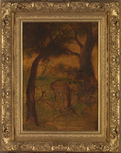 شرب الأيل ، كاليفورنيا. 1870s. بواسطة ألبرت بينكهام رايدر