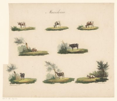 أبقار في المناظر الطبيعية Macédoine (العنوان على الكائن) بواسطة ألبرتوس فيرهوزن