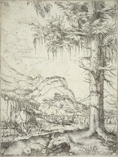 شجرة التنوب الكبيرة ، c.1520 بواسطة ألبريشت التدورفر