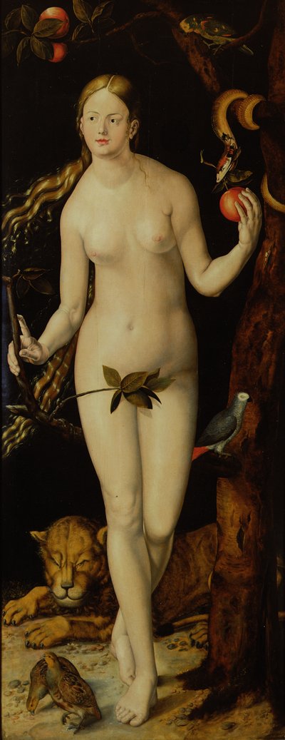 حواء بواسطة Albrecht Dürer