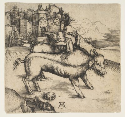 الخنزير الوحشي لاندسر ، كاليفورنيا. 1496. بواسطة ألبريشت دورر