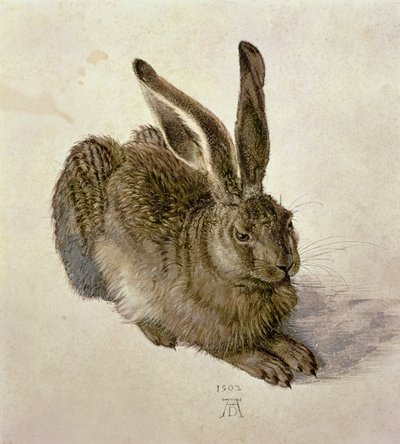 يونغ هير بواسطة Albrecht Dürer