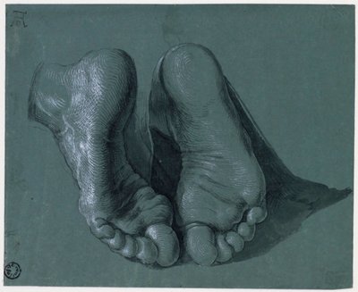 Etude de pieds - دراسة قدمين - رسم ألبرشت دورر (1471-1528) ، ألوان مائية ، لون أبيض ، طباشير أسود على ورق ، c1508 (17.6x21.6 سم) - متحف Boijmans Van Beuningen ، روتردام بواسطة ألبريشت دورر