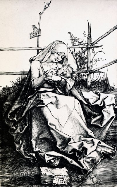 Madonna and Child in a fence (engraving on copper) بواسطة ألبريشت دورر