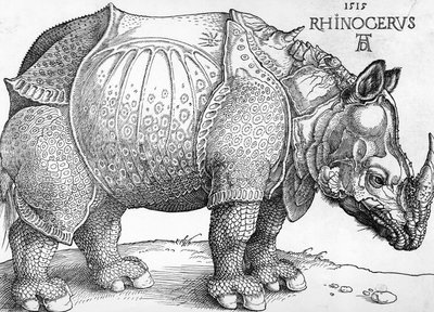 Rhinoceros بواسطة ألبريشت دورر