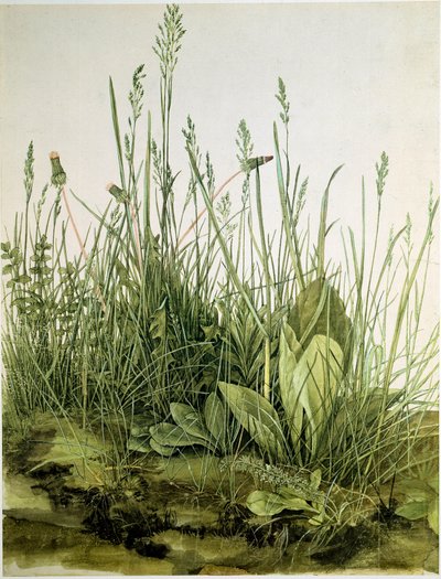 الأوساخ مع الأعشاب البرية Watercolor بواسطة Albrecht Durer (1471-1528) 1503 Dim. 41x31،5 سم رسومات Sammlung Albertina بواسطة ألبريشت دورر