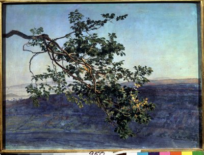 معرض "La branche" Peinture de Alexander Ivanov (1806-1858) 1840-1850 State Tretyakov Gallery ، موسكو بواسطة ألكسندر أندرييفيتش إيفانوف
