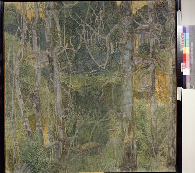 ديكور تحضيري لمأساة فيل مورتي لجابرييل دانونزيو (1863-1938) (تصميم المسرح للمدينة الميتة الدرامية بقلم جي دانونزيو). تكوين الأشجار ذات الفروع المتشابكة ، مما يوحي بوجود جسر للمشاة فوق بركة تؤدي إلى دي بواسطة ألكسندر ياكوفليفيتش جولوفين