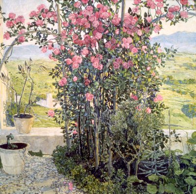 الوادي في أومبريا ، 1910s. بواسطة ألكسندر ياكوفليفيتش جولوفين
