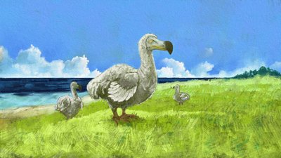 تمثيل طائر الدودو المنقرض (رسم توضيحي) بواسطة أليساندرو لوناتي