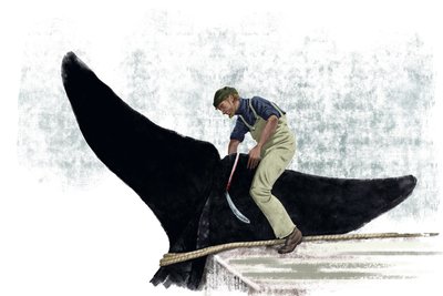 قارب الحوت يقطع ذيل الحوت بواسطة أليساندرو لوناتي