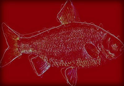 Fish V، 2020 (وسائط مختلطة) بواسطة أليكس كامينكر