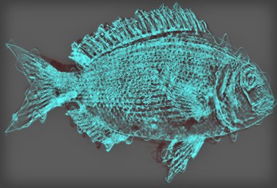 fish II، 2020 (وسائط مختلطة) بواسطة أليكس كامينكر