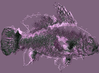 fish III، 2020 (وسائط مختلطة) بواسطة أليكس كامينكر