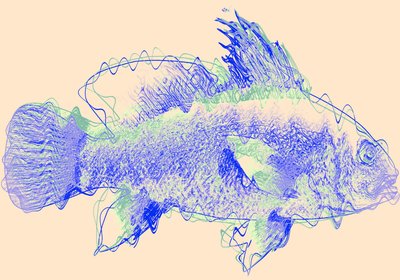 fish IV، 2020 (وسائط مختلطة) بواسطة أليكس كامينكر