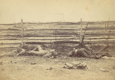 منظر في الميدان ، على الجانب الغربي من طريق هاجرستاون ، بعد معركة أنتيتام ، ... ، 1862. بواسطة الكسندر جاردنر