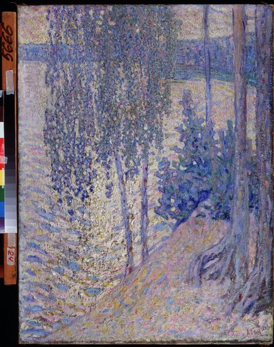 "بيرش" (بيرش) لوحة رسمها ألكسندر فيودوروفيتش غوش (1873-1947) حوالي عام 1910 متحف الدولة للفنون في جمهورية تشوفاش تشيبوكساري بواسطة الكسندر جوش