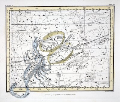 The Constellations (اللوحة XIX) الميزان والعقرب ، من "أطلس سماوي" تأليف ألكسندر جاميسون ، حانة. لندن 1822 (النقش اليدوي) بواسطة ألكسندر جاميسون