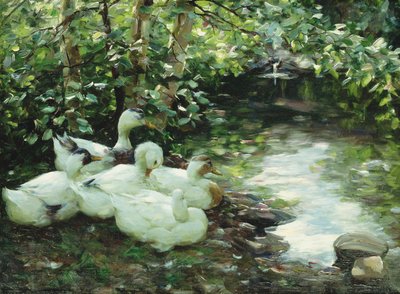 خمس بطات على النهر ، ستوني شور ؛ Funf Enten am Bach ، Steiniges Ufer بواسطة الكسندر كويستر