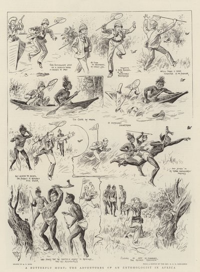 مطاردة الفراشة ، مغامرات عالم الحشرات في أفريقيا بواسطة Alexander Stuart Boyd