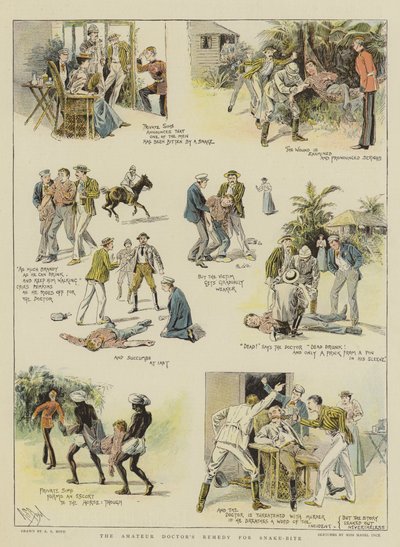 علاج طبيب الهواة لدغة الأفعى (chromolitho) بواسطة Alexander Stuart Boyd