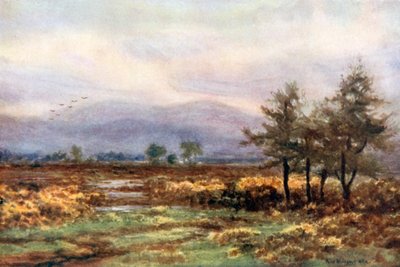 بالقرب من آبيليكس، كوينز كو (طباعة حجرية ملونة) بواسطة الكسندر ويليامز