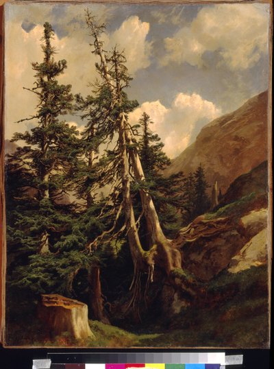 التنوب في الجبال بواسطة كالام ، الكسندر (1810-1864). زيت على قماش ، الأبعاد: ٦٨،٥ × ٥٣. State A. متحف بوشكين للفنون الجميلة ، موسكو بواسطة الكسندر كالامي