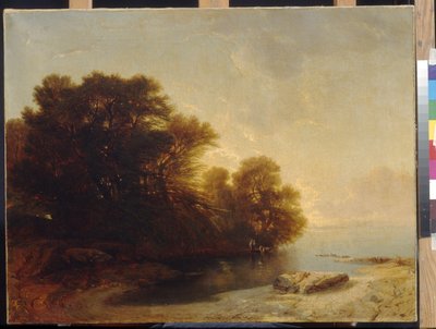 أشجار في البحيرة بواسطة كالام ، الكسندر (1810-1864). زيت على قماش ، الأبعاد: ٦٢ × ٨١. State A. متحف بوشكين للفنون الجميلة ، موسكو بواسطة الكسندر كالامي
