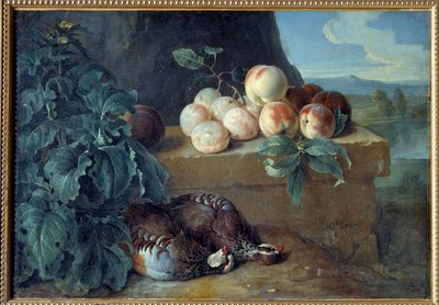 الخوخ والحجل. لوحة فرانسوا ديسبورتس (1661-1743) بواسطة الكسندر فرانسوا ديسبورتس