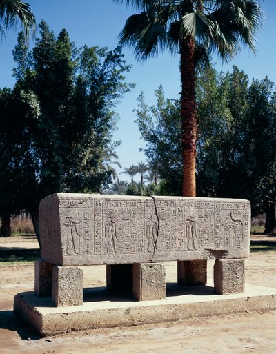 Egypt, Cairo, Ancient Memphis, Engraved sarcophagus بواسطة الكسندر جبرائيل (بعد) ديكامبس