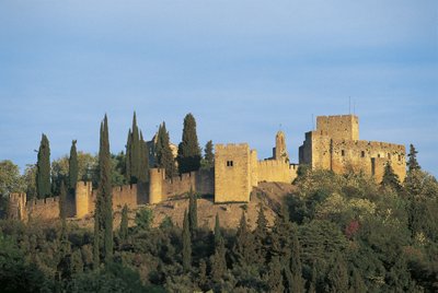 Portugal - Tomar. Convent of Christ. UNESCO World Heritage List بواسطة الكسندر جبرائيل (بعد) ديكامبس