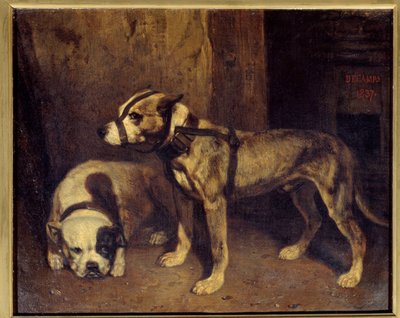 بولدوج وترير اسكتلندي رسم بواسطة الكسندر غابرييل ديكامبس (1803-1860) القرن التاسع عشر. 1،04x1،34 م بواسطة الكسندر جابرييل ديكامبس