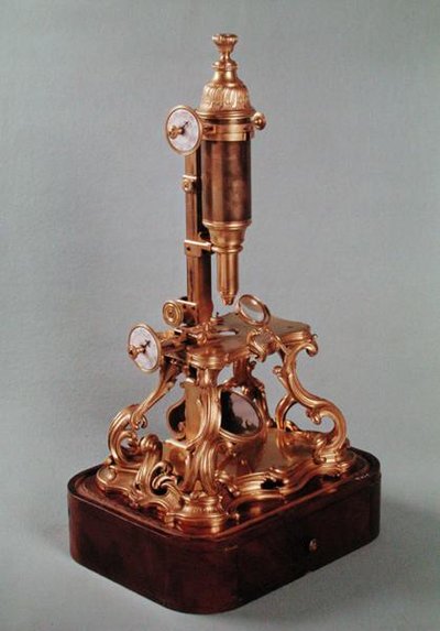 مجهر ينتمي إلى لويس أوغست دي ألبرت ديلي (1678-1744) دوق شولن ، حوالي 1751 (برونز وخشب مذهبان) بواسطة الكسيس ماجني