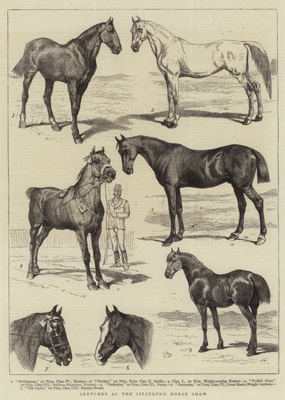 اسكتشات في عرض Islington Horse بواسطة ألفريد تشانتري كوربولد
