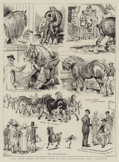 عرض جمعية Shire Horse في القاعة الزراعية ، Islington بواسطة ألفريد تشانتري كوربولد