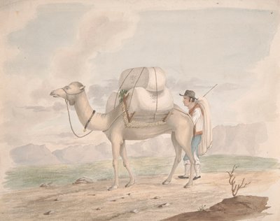 الجمل المحملة بواسطة Alfred Diston