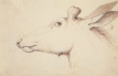 إلك. ج 1837 (رسم) بواسطة ألفريد جاكوب ميلر