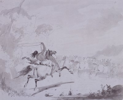 رمي اللاسو ، حوالي عام 1837 (قلم وحبر مع طلاء رمادي على بطاقة رمادية) بواسطة ألفريد جاكوب ميلر