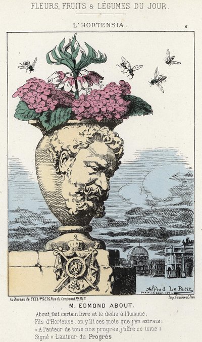 L'Hydrangea: كارتون على إدموند حول (1828 - 1885) - مريض. بتاريخ 19/1/1871 بعنوان "زهور اليوم وفاكهة وخضار". بواسطة ألفريد لو بيتيت