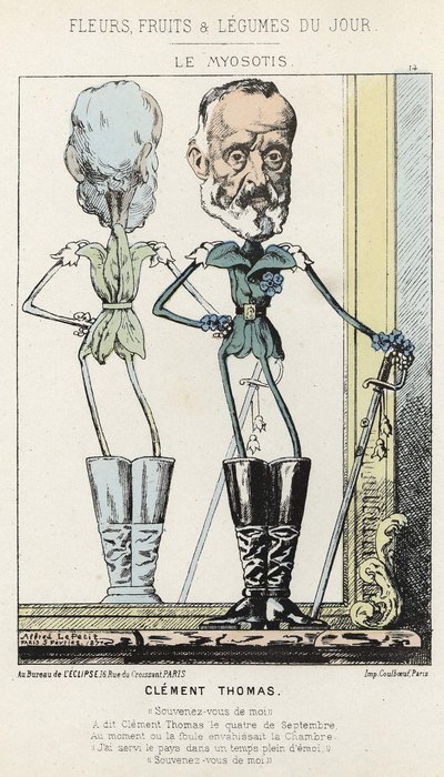 Le Myosotis: رسم كاريكاتوري عن كليمان توماس - مريض. من 03/02/1871 في "زهور اليوم وفاكهة وخضروات" بواسطة ألفريد لو بيتيت