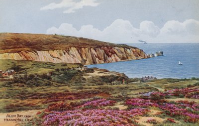 Alum Bay ، من Headon Hill ، IOW بواسطة ألفريد روبرت كوينتون