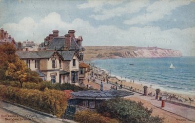 Esplanade and Culver Cliffs، Sandown، I of Wight بواسطة ألفريد روبرت كوينتون