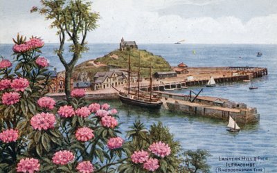 Lantern Hill and Pier ، Ilfracombe ، (Rhododendron Time) بواسطة ألفريد روبرت كوينتون