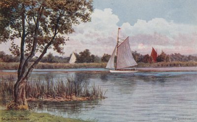 Salhouse Broad بواسطة ألفريد روبرت كوينتون