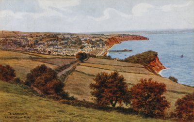 Teignmouth ، من طريق Torquay بواسطة ألفريد روبرت كوينتون