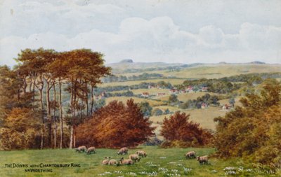 The Downs with Chantonbury Ring، Nr Worthing بواسطة ألفريد روبرت كوينتون
