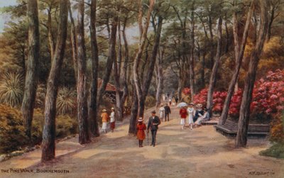 The Pine Walk ، بورنموث بواسطة ألفريد روبرت كوينتون