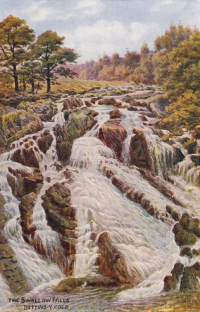 شلالات السنونو، بيتوس-واي-كويد (طباعة حجرية ملونة) بواسطة ألفريد روبرت كوينتون